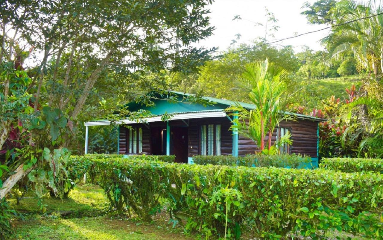 Cabinas Rio Celeste La Amistad Esterno foto