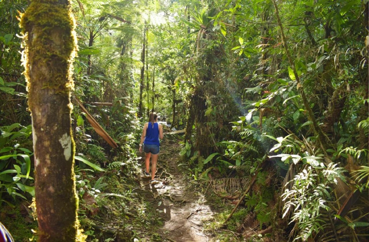 Cabinas Rio Celeste La Amistad Esterno foto