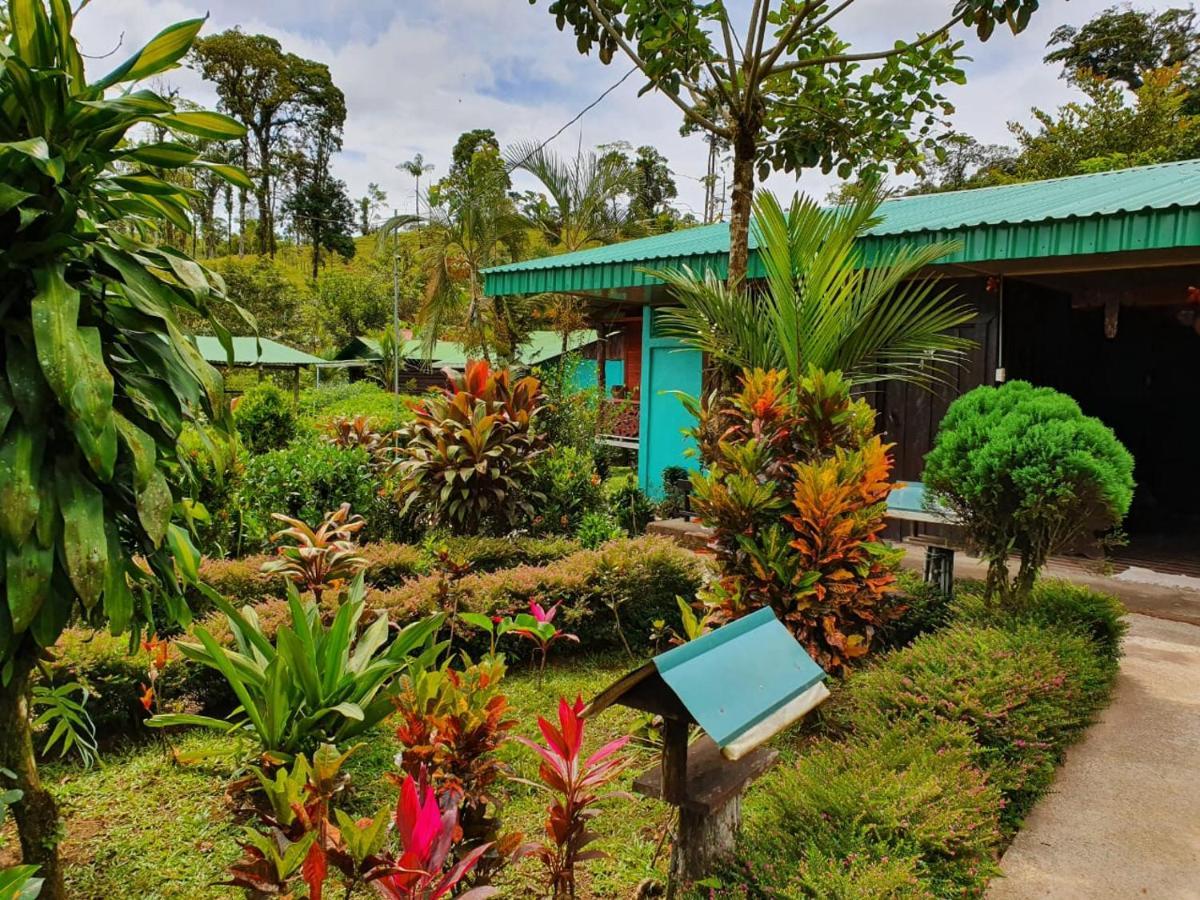 Cabinas Rio Celeste La Amistad Esterno foto