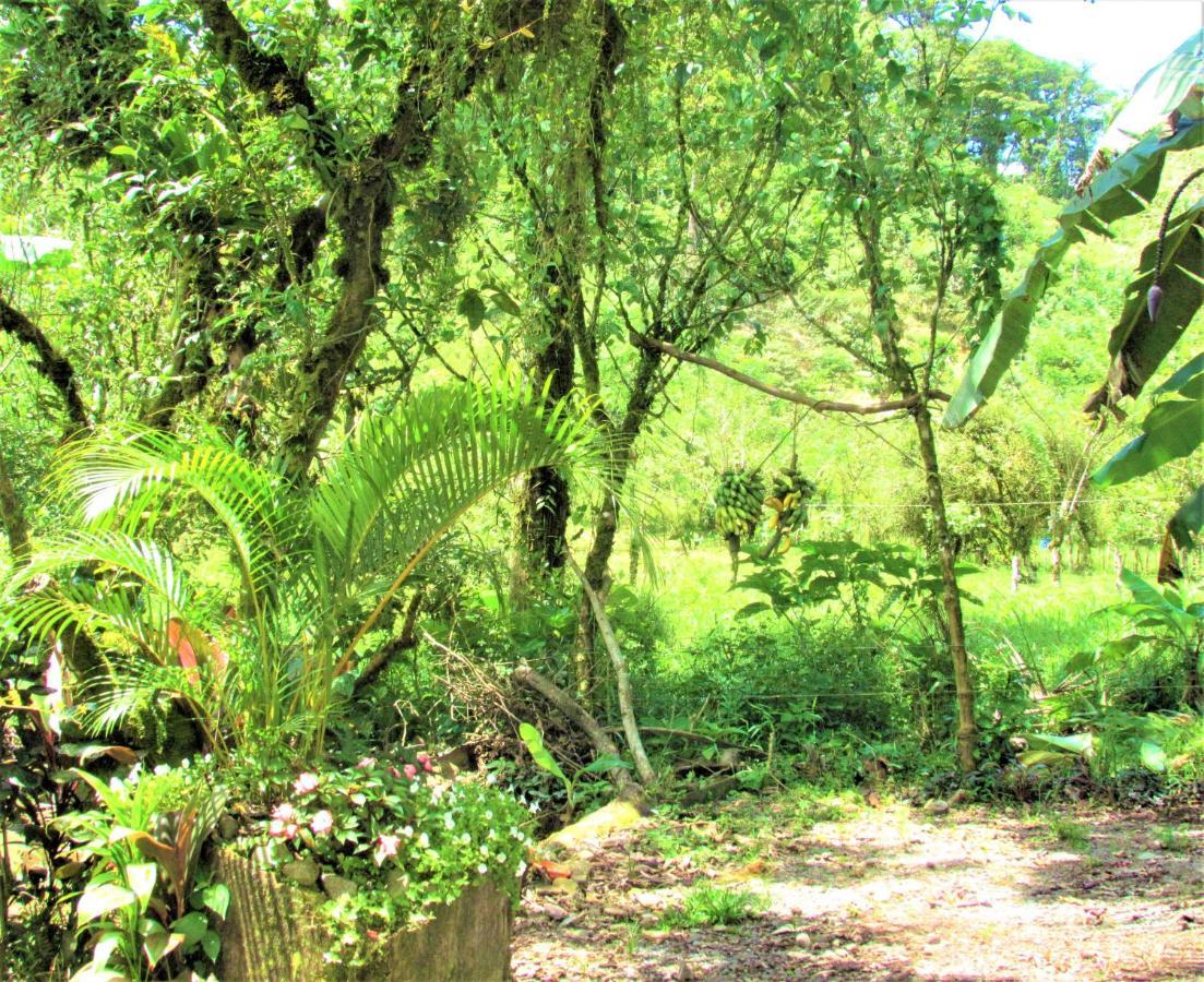 Cabinas Rio Celeste La Amistad Esterno foto