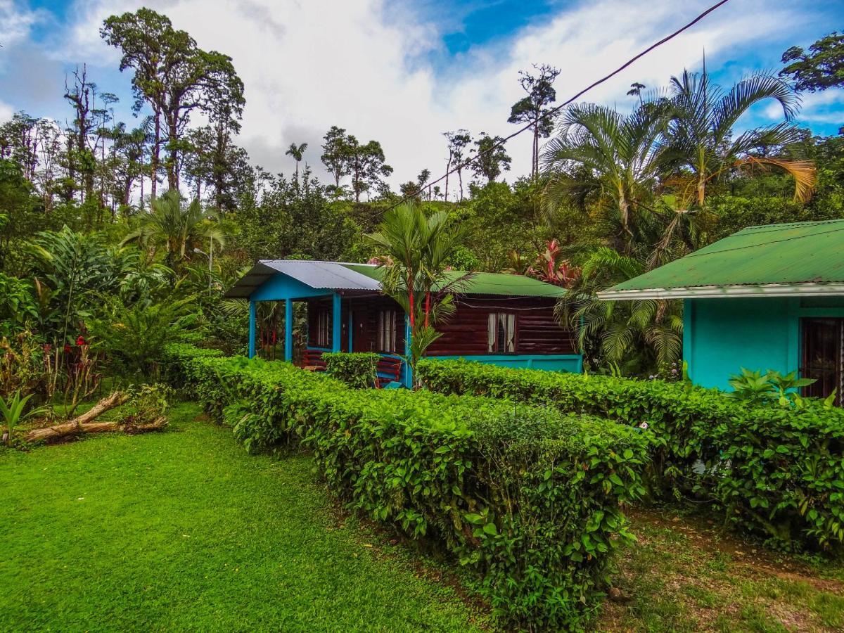 Cabinas Rio Celeste La Amistad Esterno foto