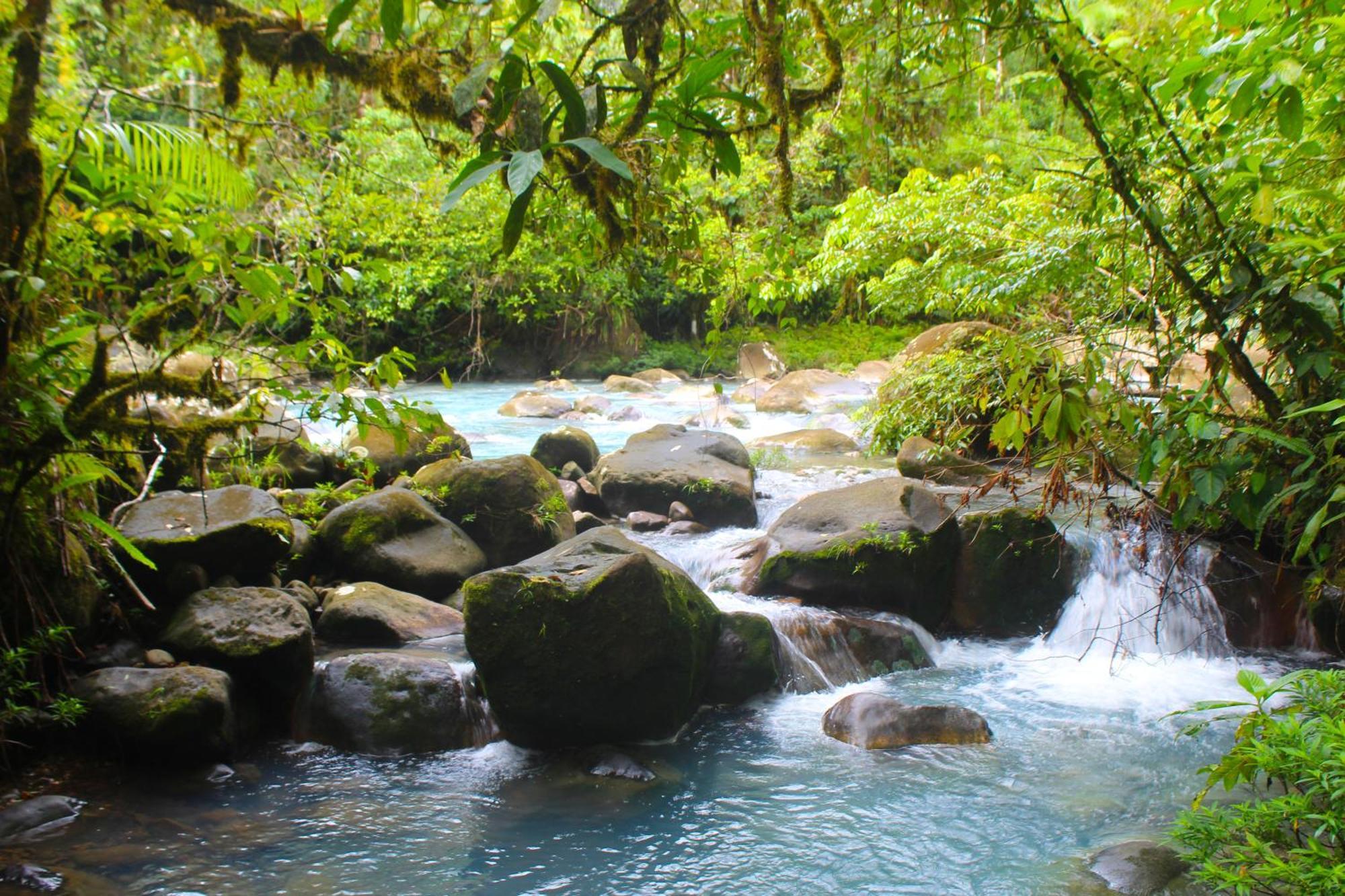 Cabinas Rio Celeste La Amistad Esterno foto