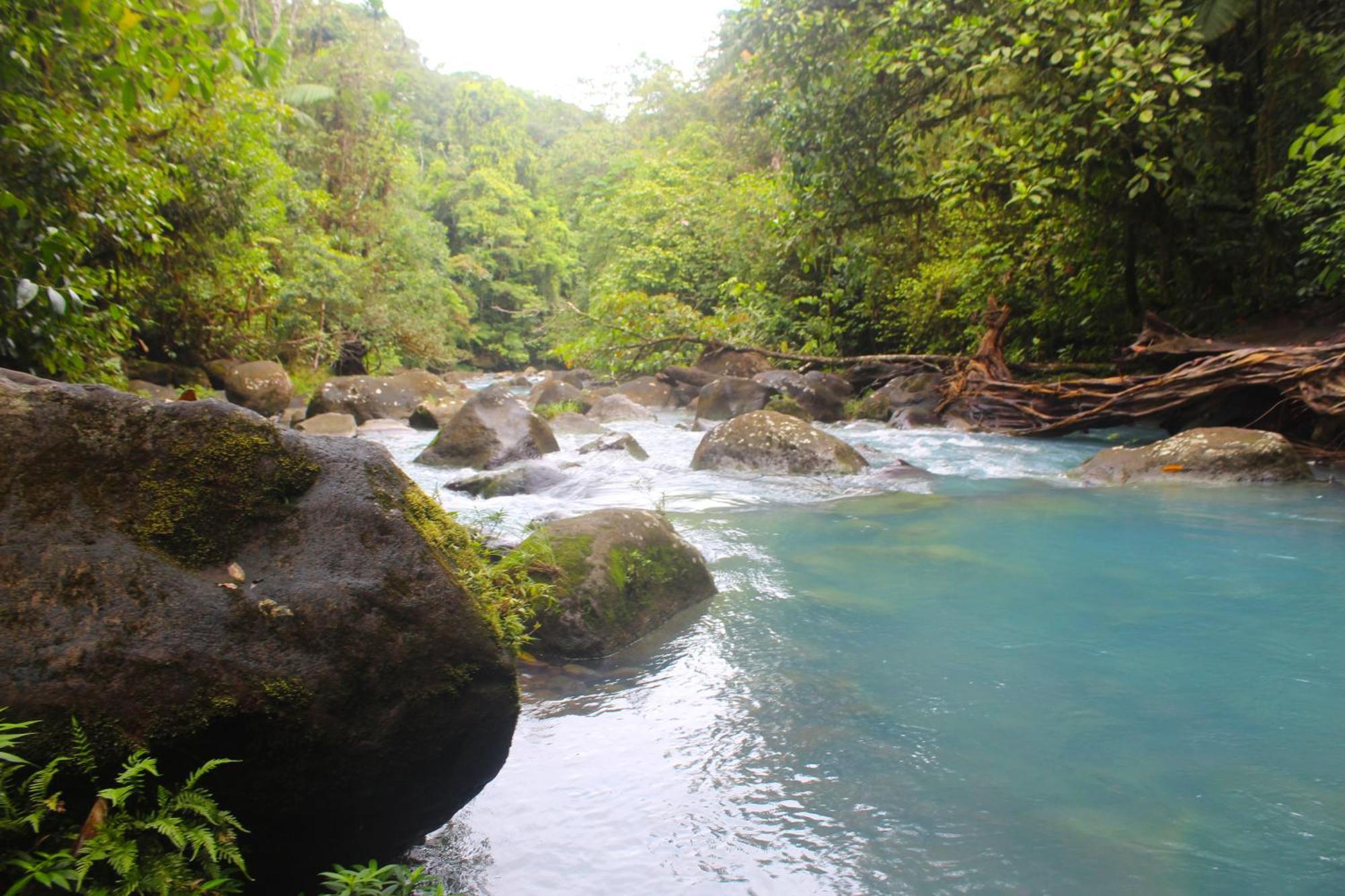 Cabinas Rio Celeste La Amistad Esterno foto